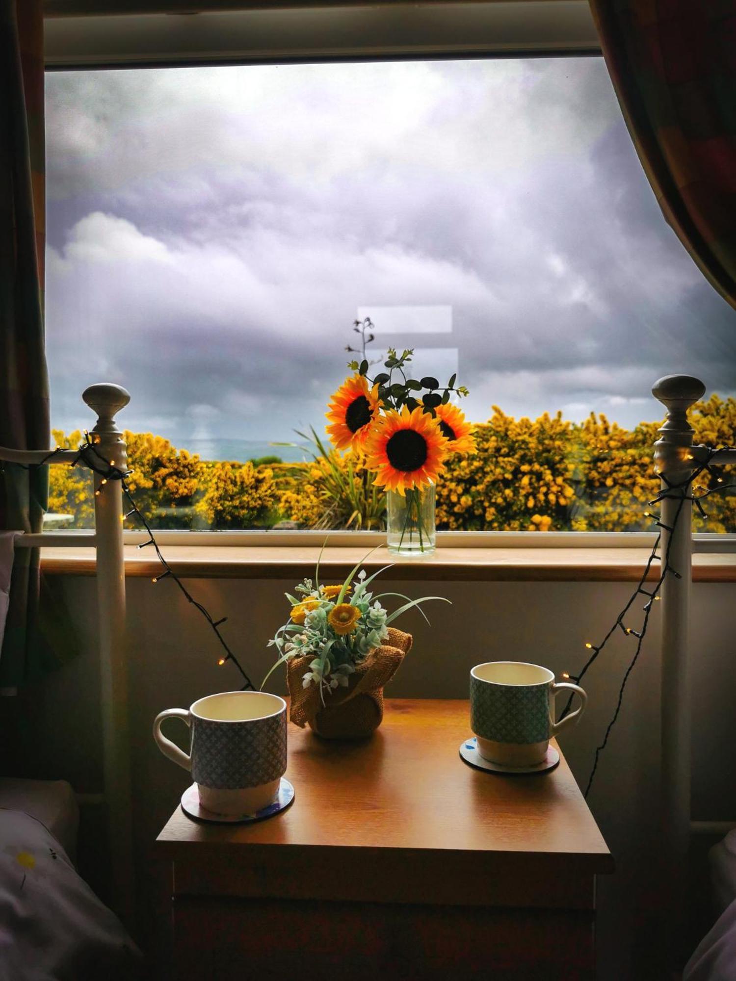 Causeway Coast Country Cottage, Pet-Friendly บัลลีคาสเซิล ภายนอก รูปภาพ